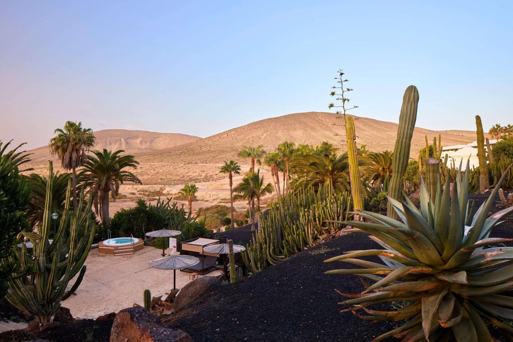 Meliá Fuerteventura Hotel Costa Calma